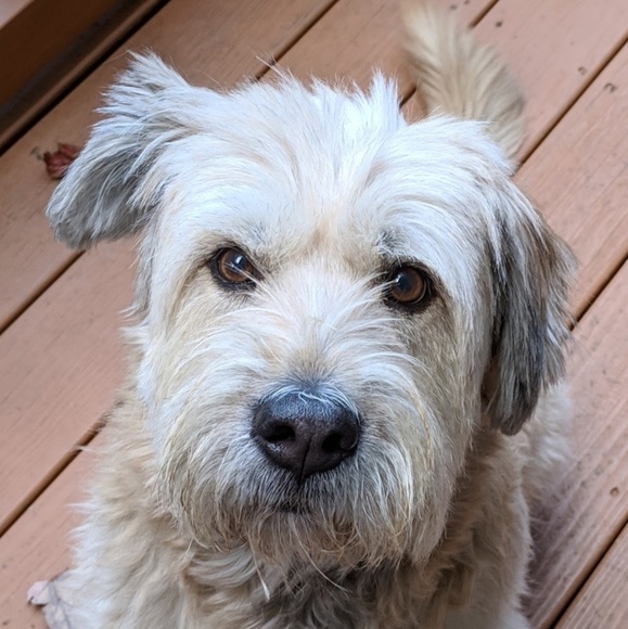 Meet your Posher, Alexandra - Picture 4 of 4
